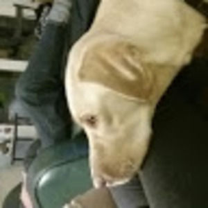 Meet your Posher, Jack